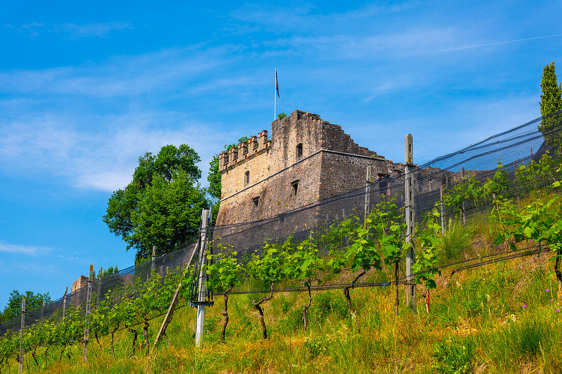 Schloss und Weinberg an einem sonnigen Sommertag in Morcote, Tessin, Schweiz.