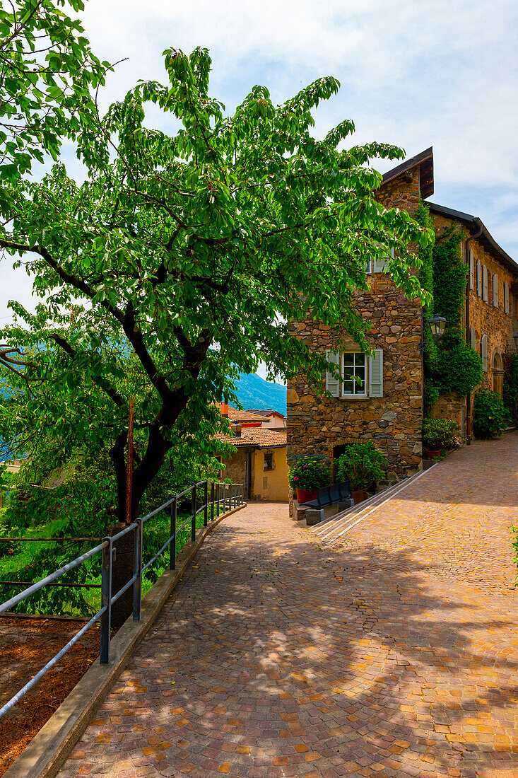 Rustikales Haus mit Kirschbaum an einem sonnigen Tag in Vico Morcote, Tessin, Schweiz.