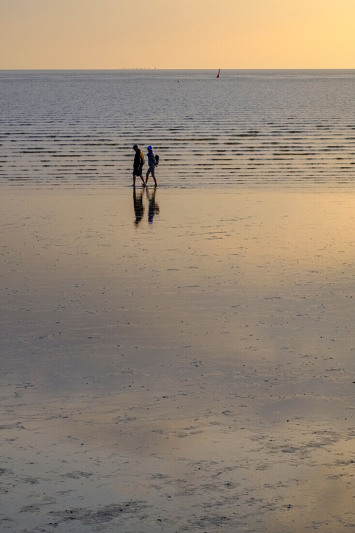 People in the mudflats, view from Buesumerdeich, Büsum, Dithmarschen, North Sea coast, Schleswig Holstein, Germany, Europe