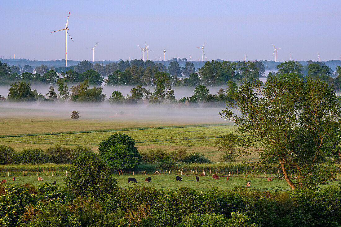 View of the Eider river valley, river is still in the fog, nature and landscape on the Eider, North Friesland, North Sea coast, Schleswig Holstein, Germany, Europe