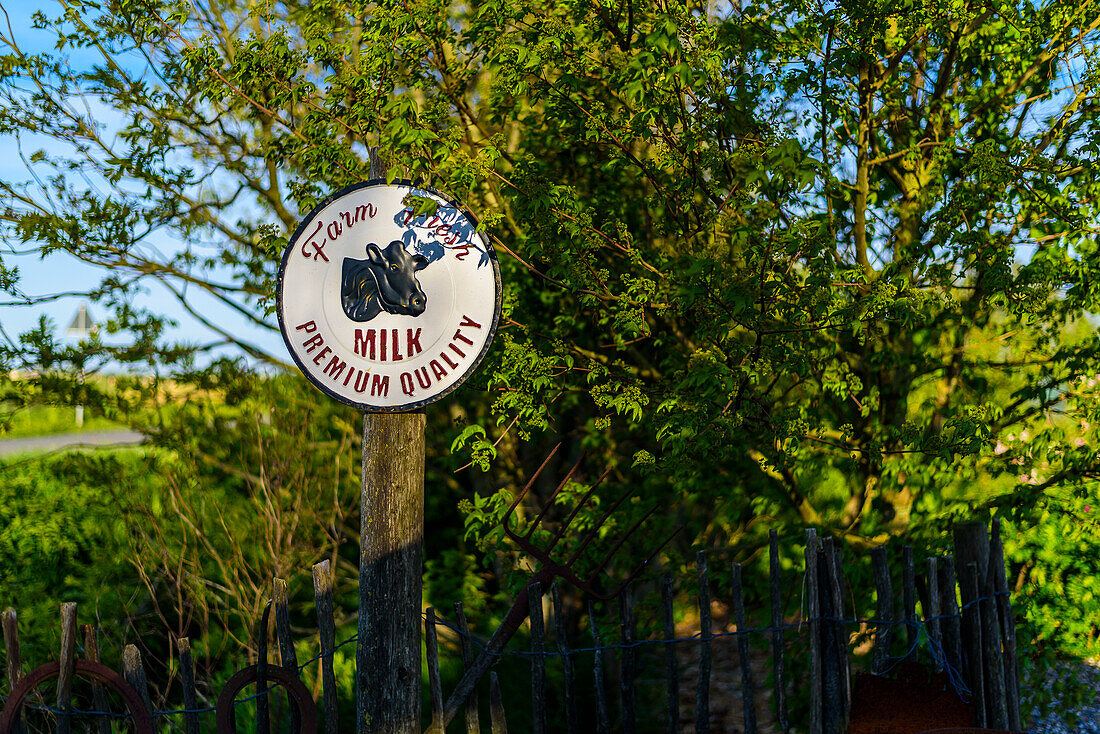 Eiderstedt milk filling station in Osterhever, Eiderstedt peninsula, North Friesland, North Sea coast, Schleswig Holstein, Germany, Europe