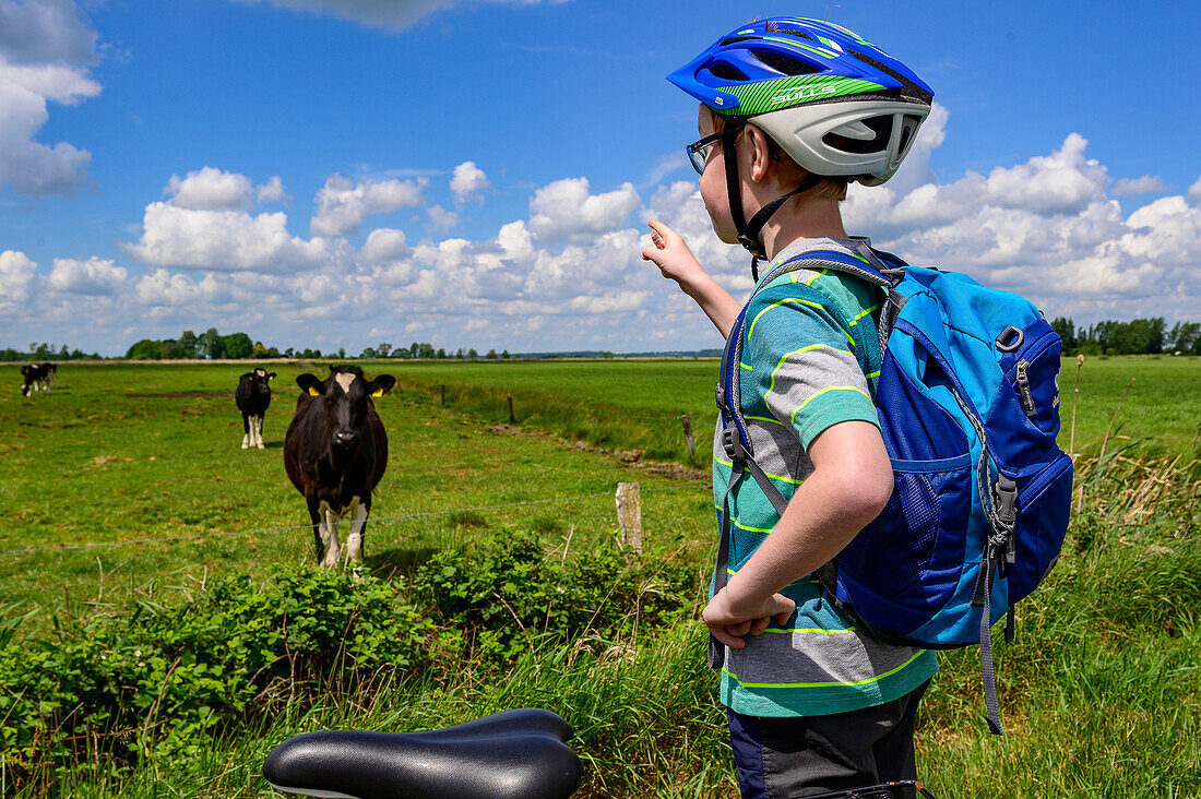 Radfahren an der Eider, Natur und Landschaft an der Eider, Nordfriesland, Nordseeküste, Schleswig Holstein, Deutschland, Europa