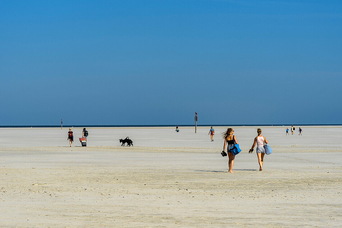 Walkers on the extensive beach in the district of Ording, St. Peter Ording, North Friesland, North Sea coast, Schleswig Holstein, Germany, Europe