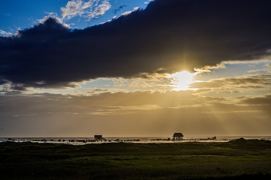 Dünenlandschaft am Strand von St. Peter Ording, Nordfriesland, Nordseeküste, Schleswig Holstein, Deutschland, Europa