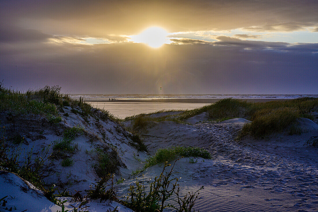 Dünenlandschaft am Strand von St. Peter Ording, Nordfriesland, Nordseeküste, Schleswig Holstein, Deutschland, Europa