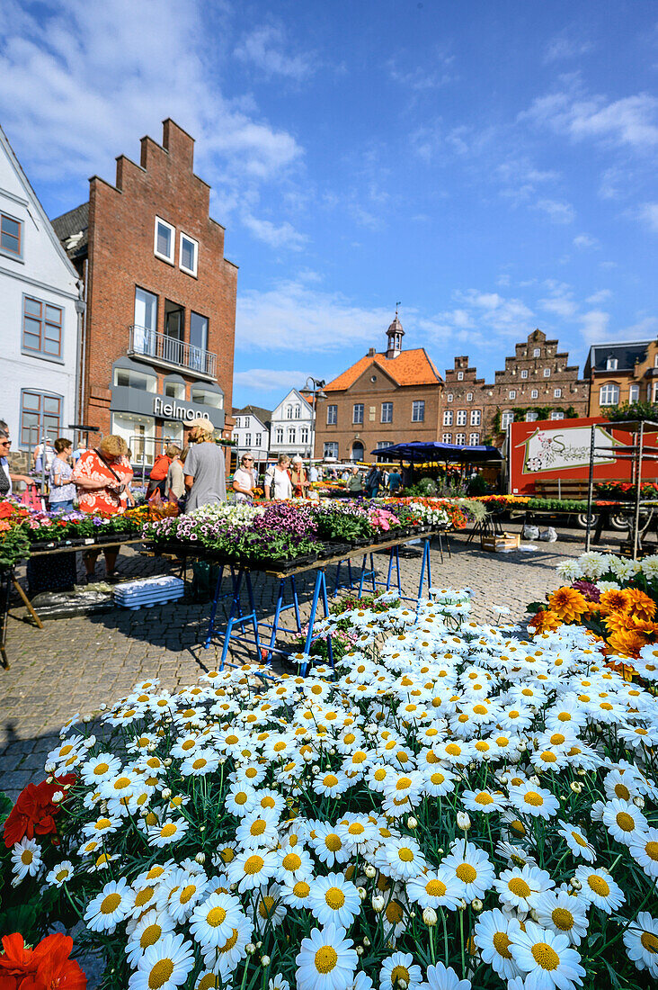 Market square, Husum, North Friesland, North Sea coast, Schleswig Holstein, Germany, Europe