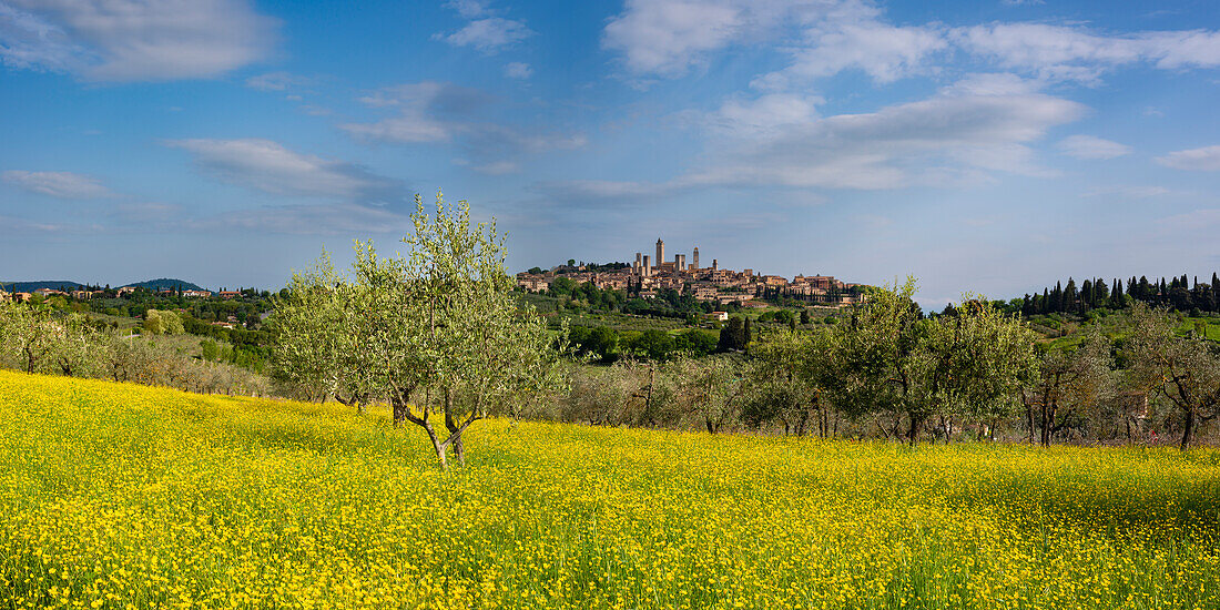 San Gimignano, Tuscany, Italy, Europe