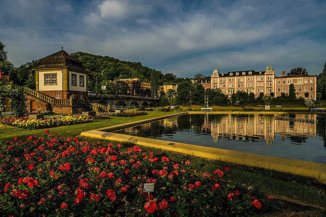 Rose garden with fountain in the morning light, Bad Kissingen, Bavaria, Germany