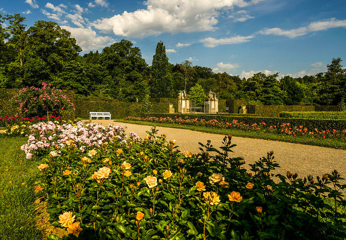 Rose beds and a view of the Josephinenbrunnen in the Gönneranlage in Baden-Baden, Baden-Württemberg, Germany