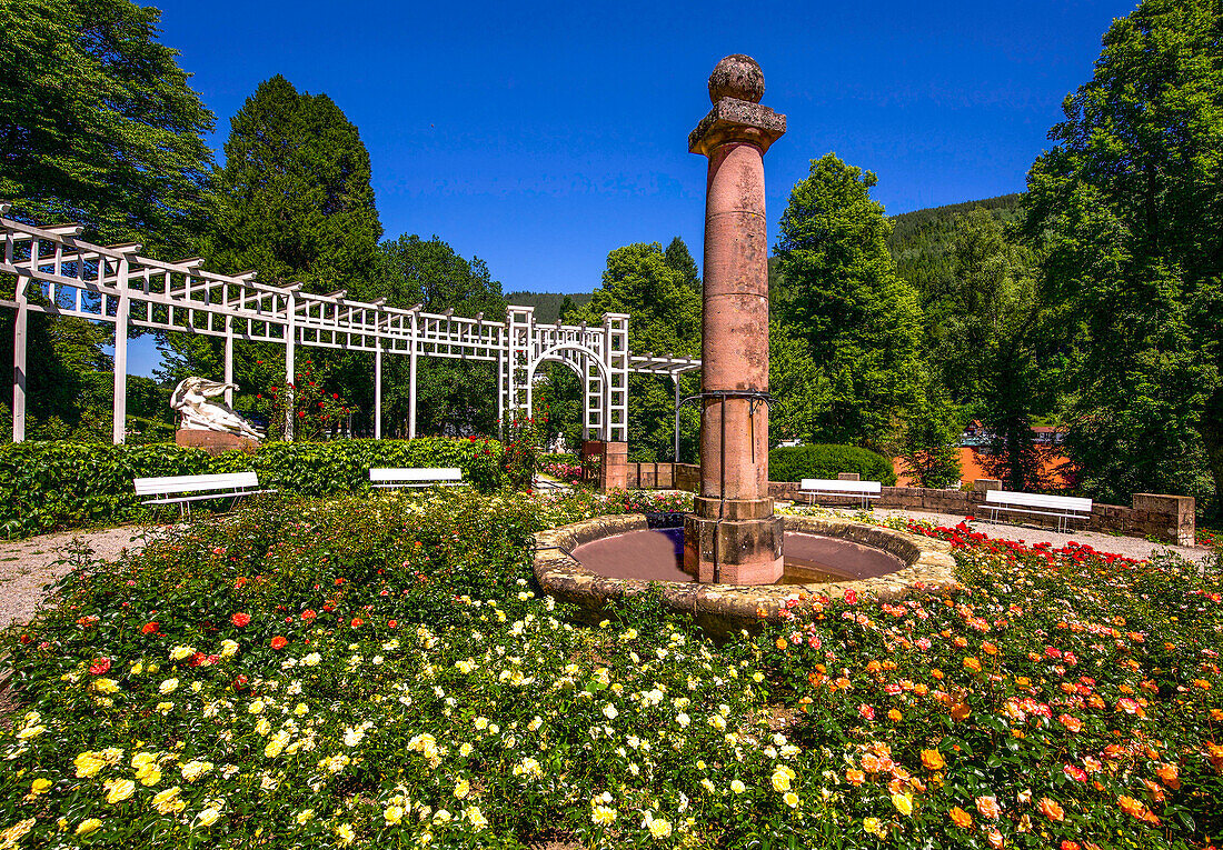 Rosarium with round pergola, fountain column and antique figures by Joseph Kopf in the spa gardens of Bad Wildbad, Baden-Württemberg, Germany