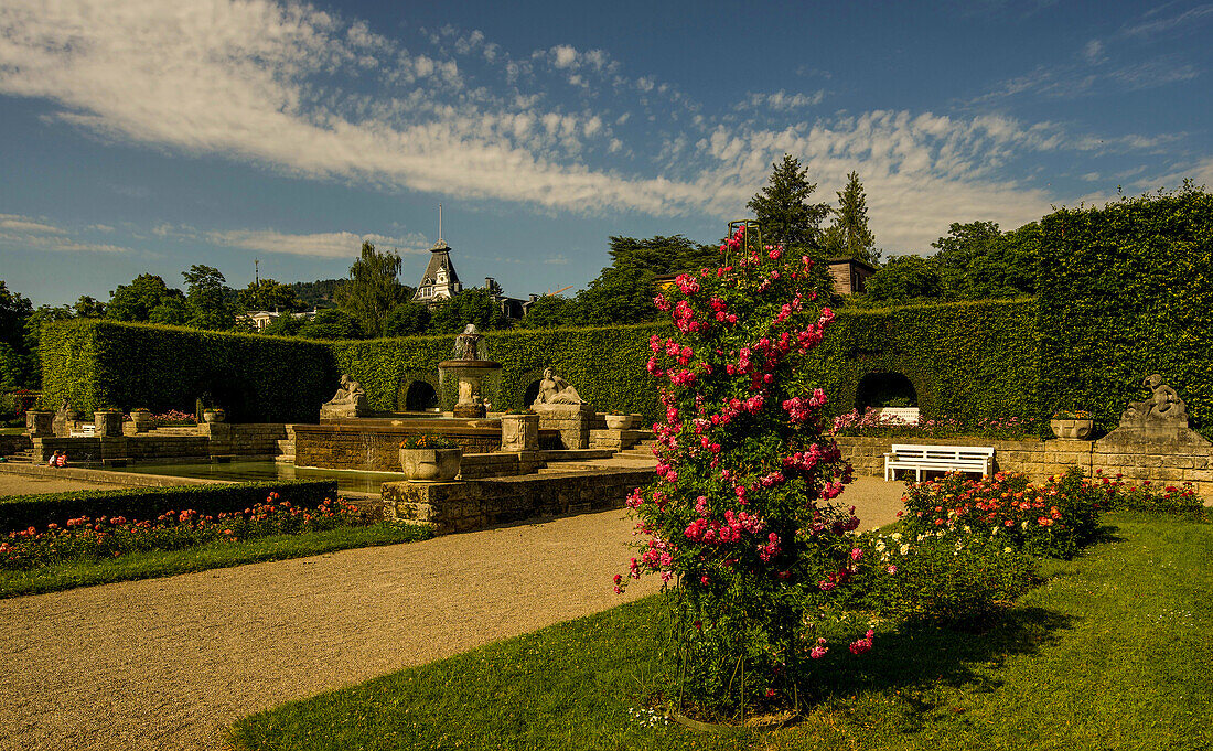 Rose beds and Josephinenbrunnen in the Gönneranlage in Baden-Baden, Baden-Württemberg, Germany
