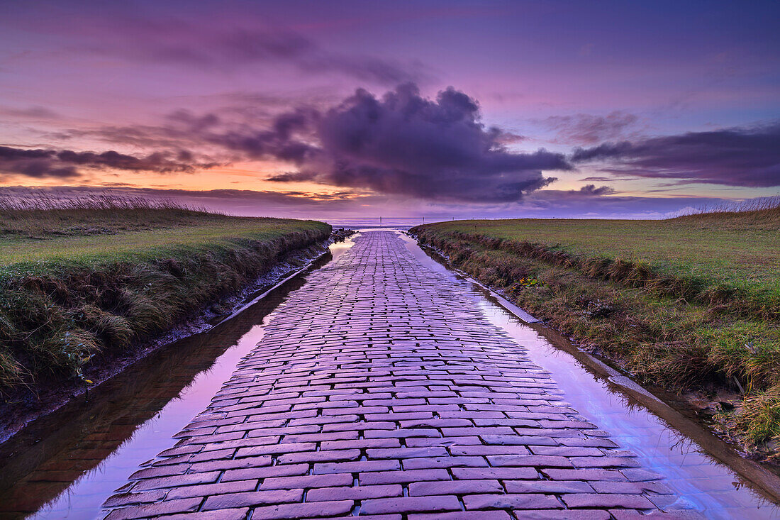 Pflasterweg führt ans Meer mit Wolkenstimmung nach Sonnenuntergang, Westerheversand, Westerhever, Nationalpark Wattenmeer, Schleswig-Holstein, Deutschland