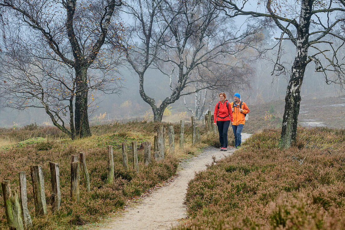 Man and woman hiking through heathland, Heidschnuckenweg, Fischbeker Heide, nature reserve beech forests in the rose garden, Rosengarten state forest, Lower Saxony, Germany