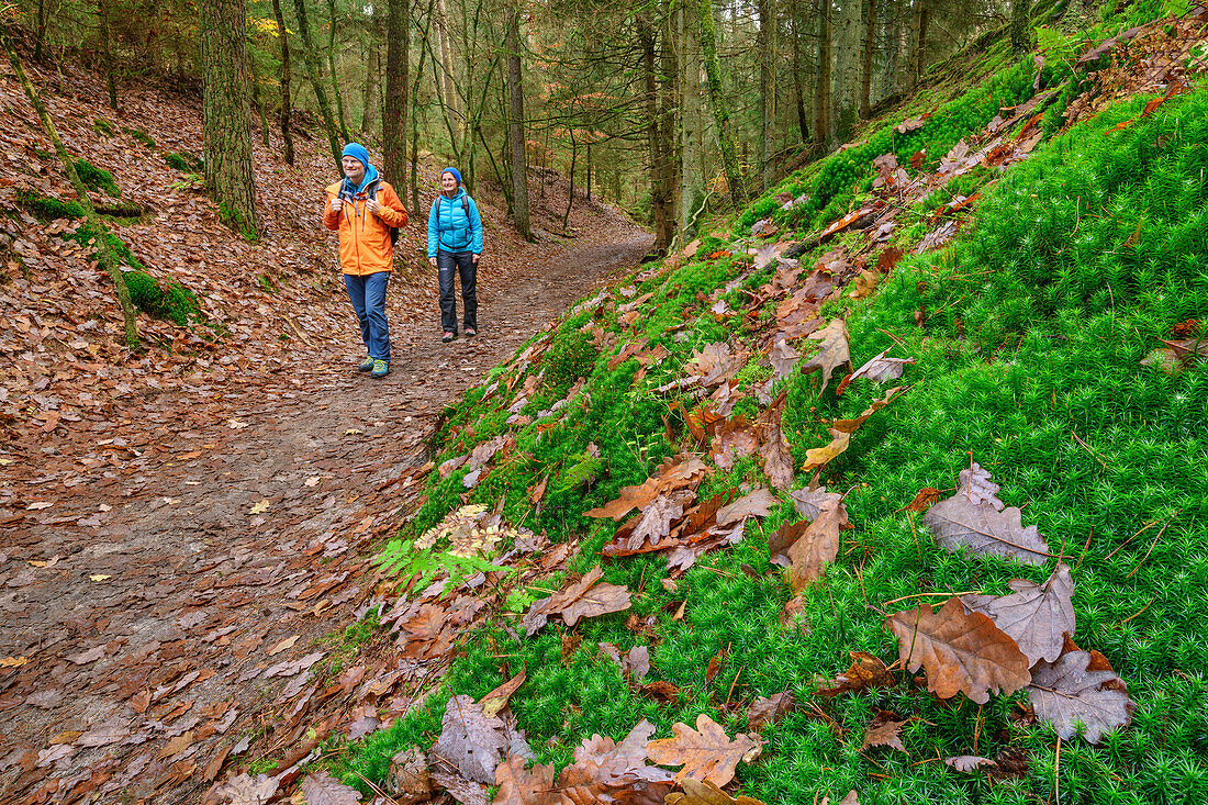 Man and woman hiking through autumn forest, Höllenschlucht, Brunsberg, Heidschnuckenweg, Lower Saxony, Germany