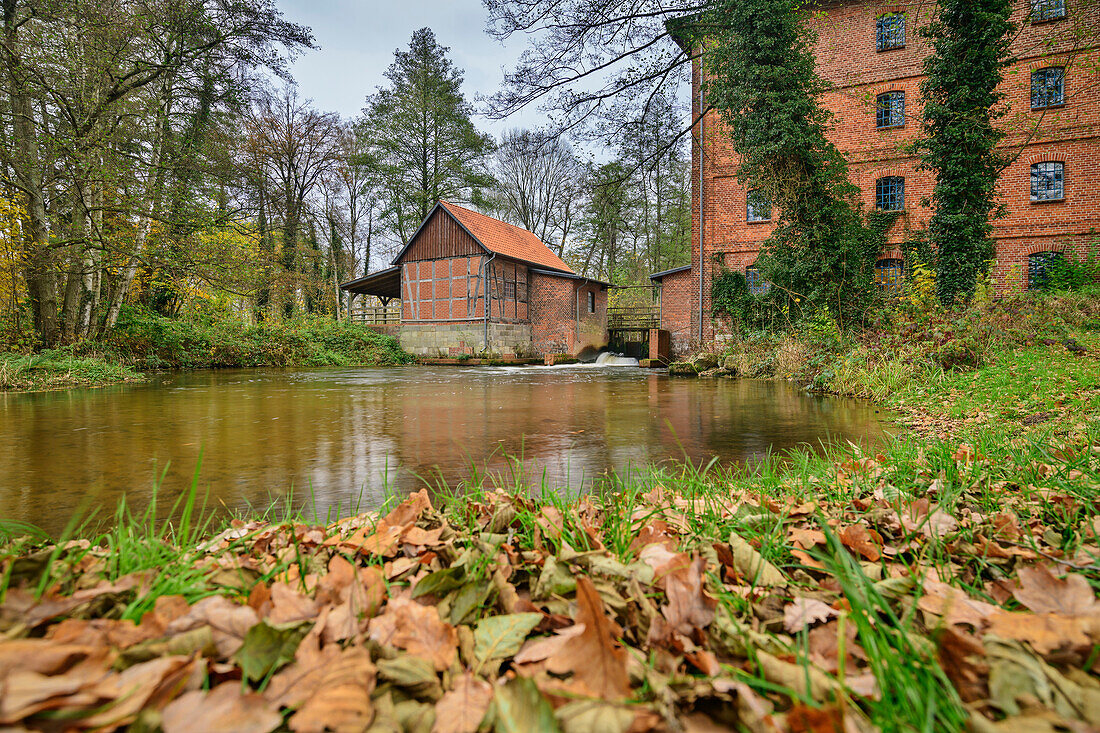 Mill on the Örtze, Örtze, Müden, Heidschnuckenweg, Lower Saxony, Germany