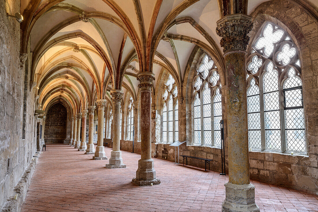 Cloister in the Walkenried Cistercian monastery, Bad Sachsa, Harz, Harz National Park, Lower Saxony, Germany