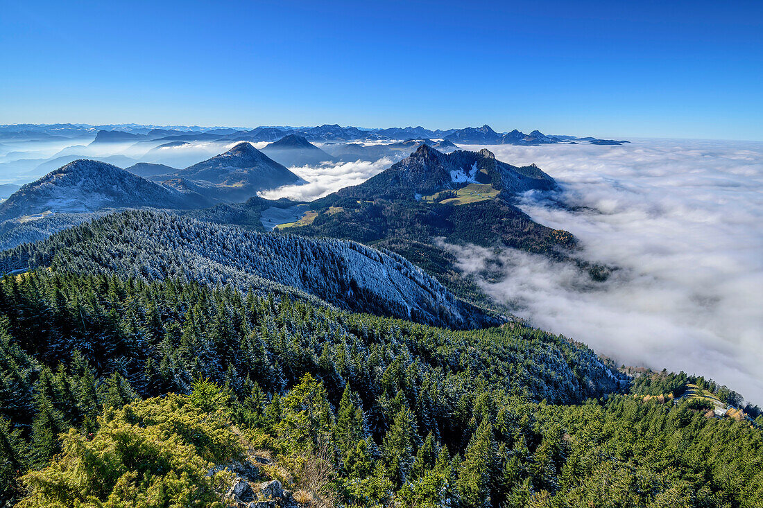 Blick auf Heuberg und Mangfallgebirge mit Nebelmeer über dem Voralpenland, von der Hochries, Chiemgauer Alpen, Chiemgau, Oberbayern, Bayern, Deutschland