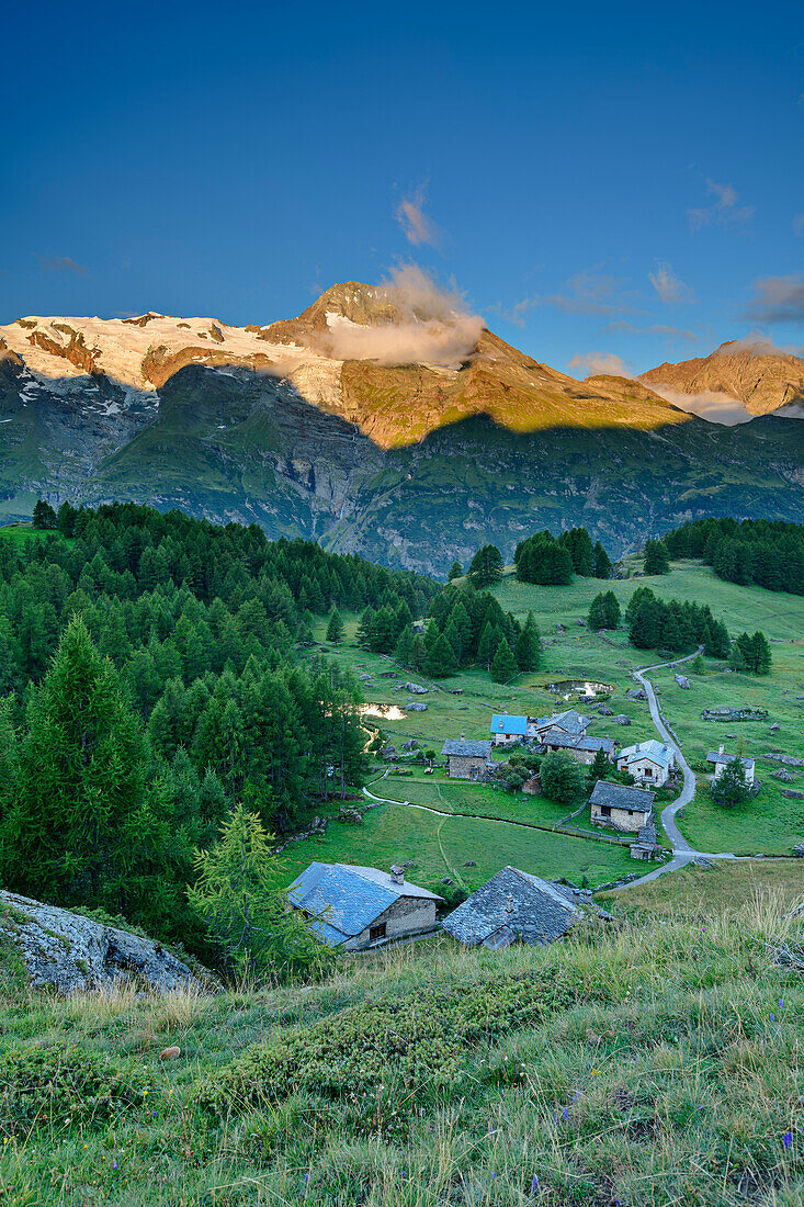 Mont Pourri in alpenglow with Le Monal alpine settlement in the foreground, Vanoise National Park, Rutor Group, Graian Alps, Savoy, Savoie, France