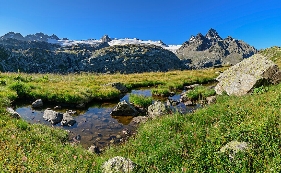 Panorama with mountain meadow with bog lake, Testa del Rutor and Grand Assaly in the background, Rifugio Deffeyes, Rutor Group, Graian Alps, Aosta, Italy