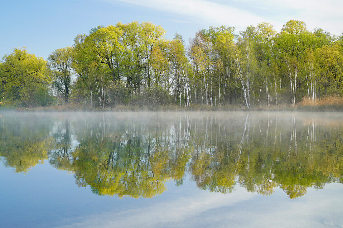 Beautiful spring morning at Dietlhofer See, Weilheim, Bavaria, Germany