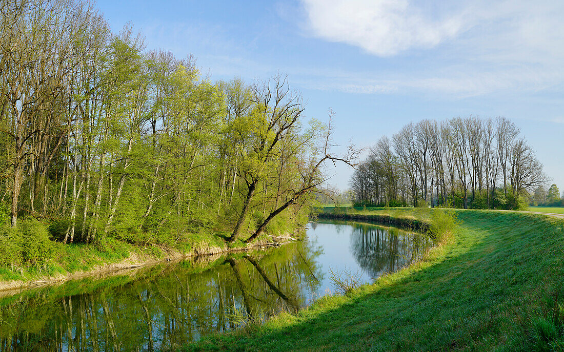 Beautiful spring morning at the Ammer near Weilheim, Bavaria, Germany