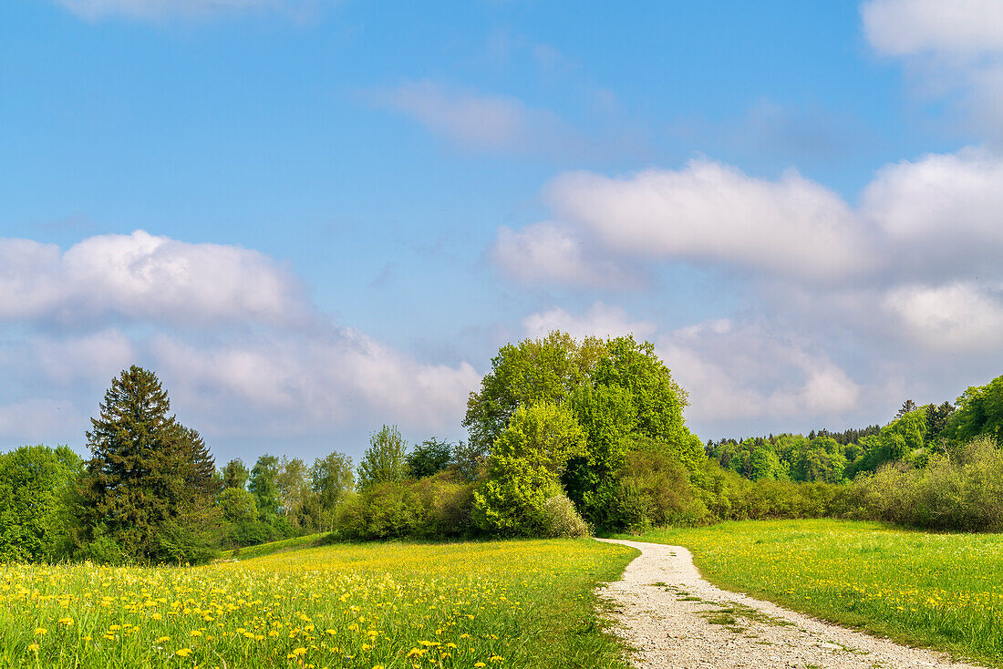 Sunny spring day on Andechser Höhenweg, Bavaria, Germany, Europe