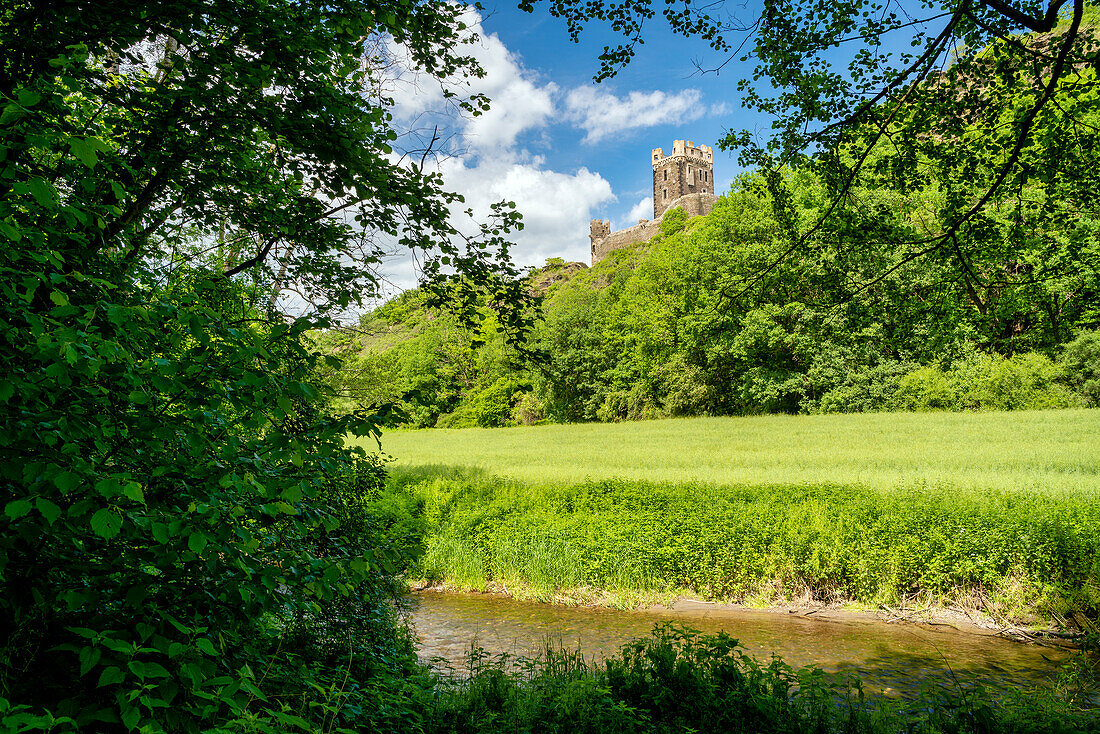 View from the wild and romantic valley of the Nette up to Wernerseck Castle in spring; warning; Rhineland-Palatinate; Germany