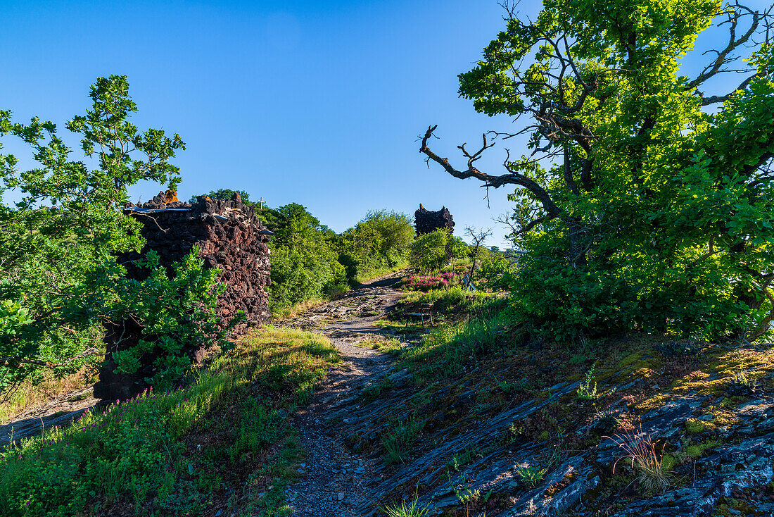 Am Kreuzweg zwischen Niederburg und Oberburg von Kobern-Gondorf im Frühling, Mosel, Rheinland-Pfalz, Deutschland