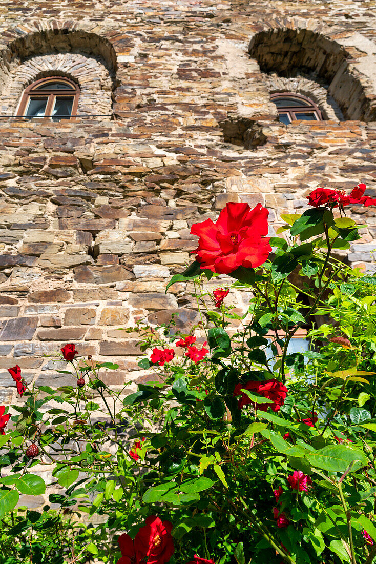 Detail of the castle tower of the Oberburg of Kobern-Gondorf in spring, Moselle, Rhineland-Palatinate, Germany