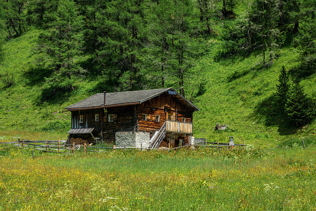 Old alpine hut in the Kals valley in East Tyrol, Hohe Tauern, Austria, Europe