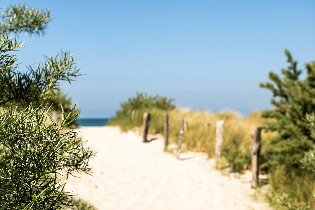 Strandweg in Heiligenhafen, Ostsee, Ostholstein, Schleswig-Holstein, Deutschland