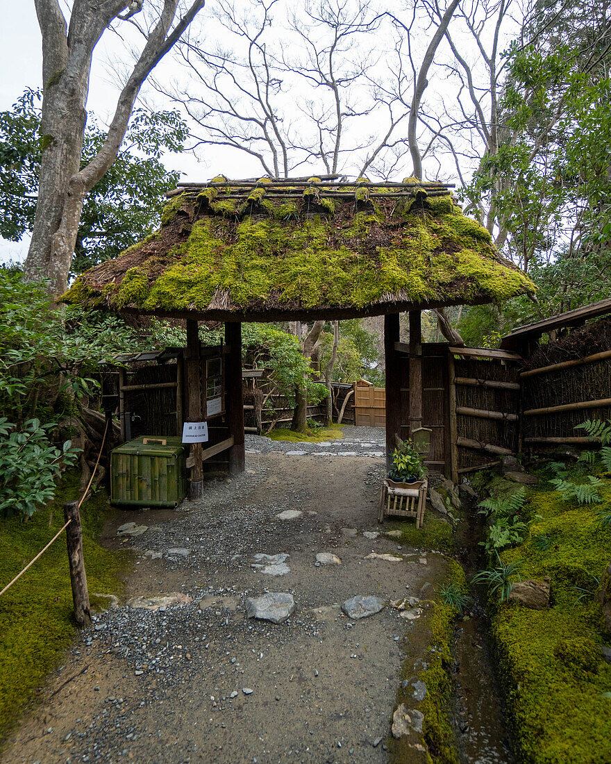 Arashiyama Park, Kyoto, Japan, Asien