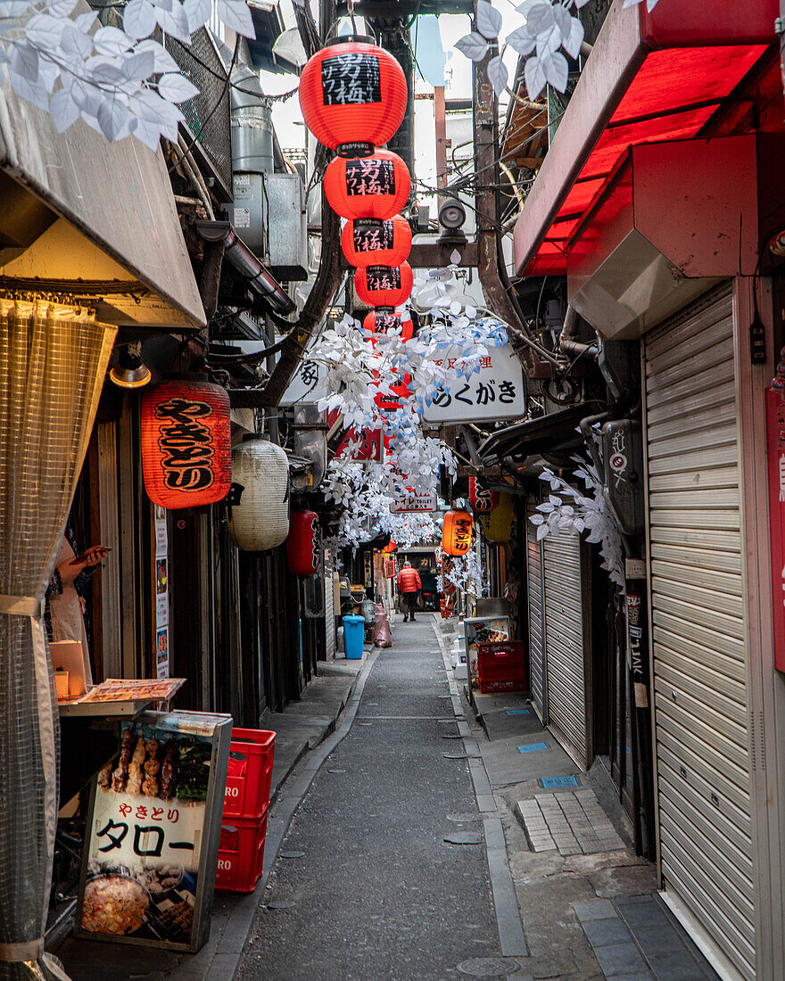 japan; tokyo; tokio; omeide yokocho; shinjuku; street; street photography;