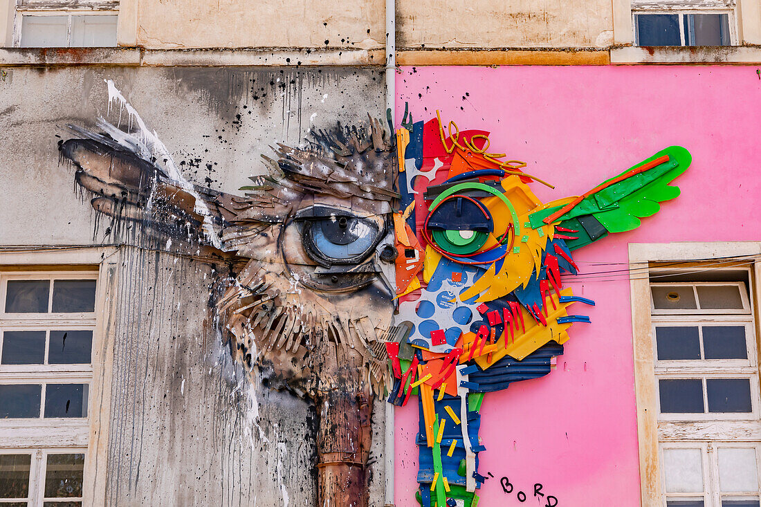 A colorful fantastic mythical creature as street art on a house wall next to the University of Coimbra, Portugal