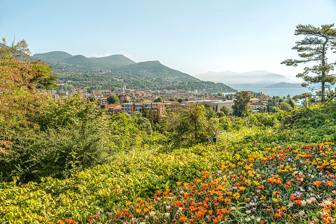 Aussicht vom Garten der Villa Taranto am Lago Maggiore auf Stresa, Pallanza, Piemont, Italien