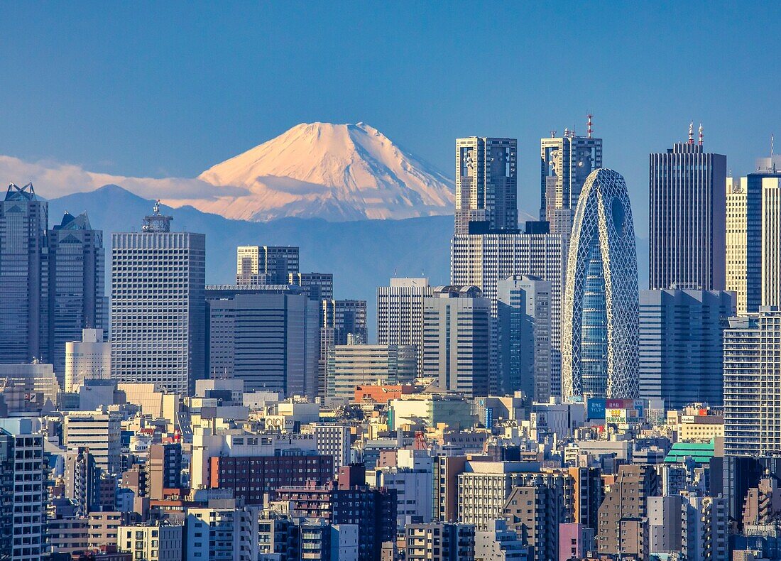 Japan,Tokyo City,Shinjuku Skyline and Mount Fuji.