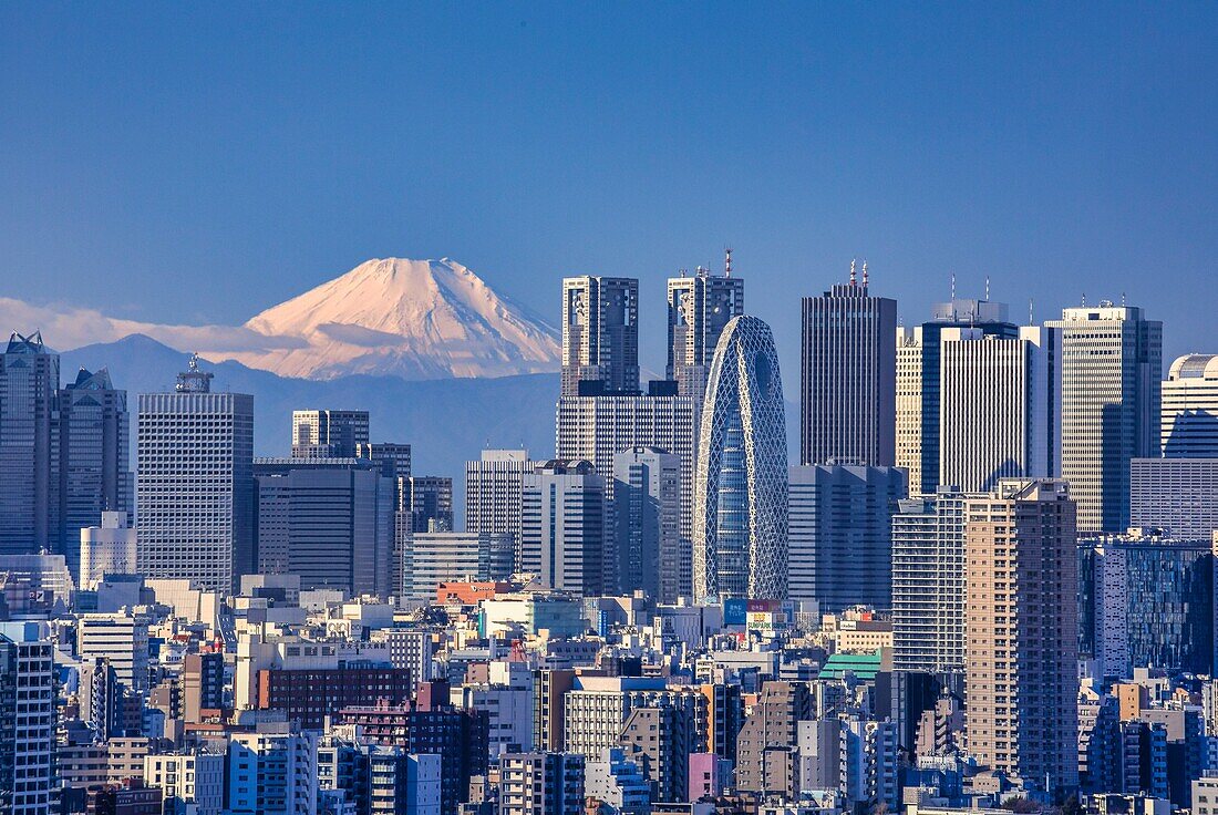 Japan, Tokyo City, Shinjuku Skyline und der Berg Fuji.
