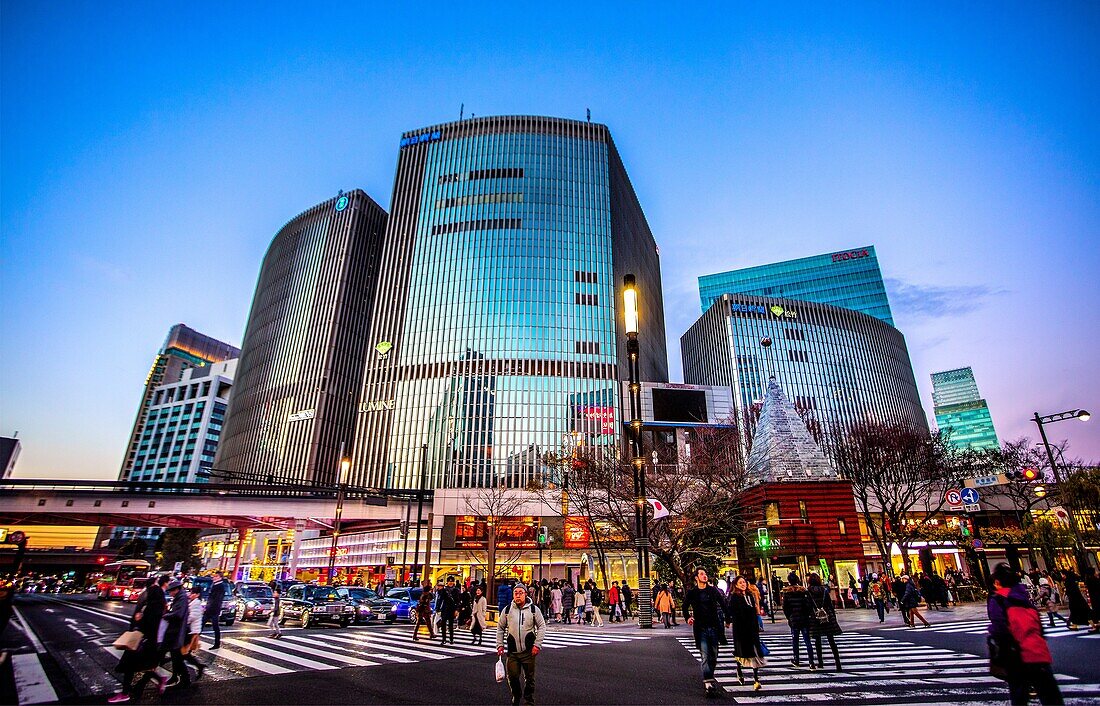 Japan, Tokyo City, Bezirk Ginza, Harumi Dori Straße.