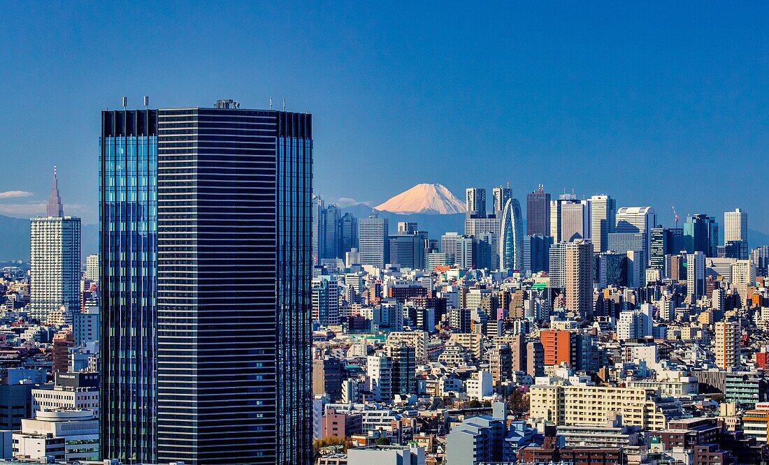 Japan, Tokyo City, Shinjuku Skyline und der Berg Fuji.