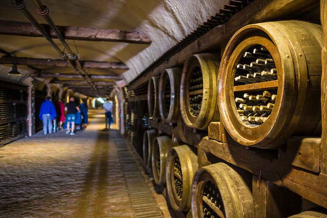 Georgien, Kachetien, Kvareli, Weingut Khareba, 7. 7 km Weintunnel, die mehr als 25.000 Flaschen ihres Weins lagern.