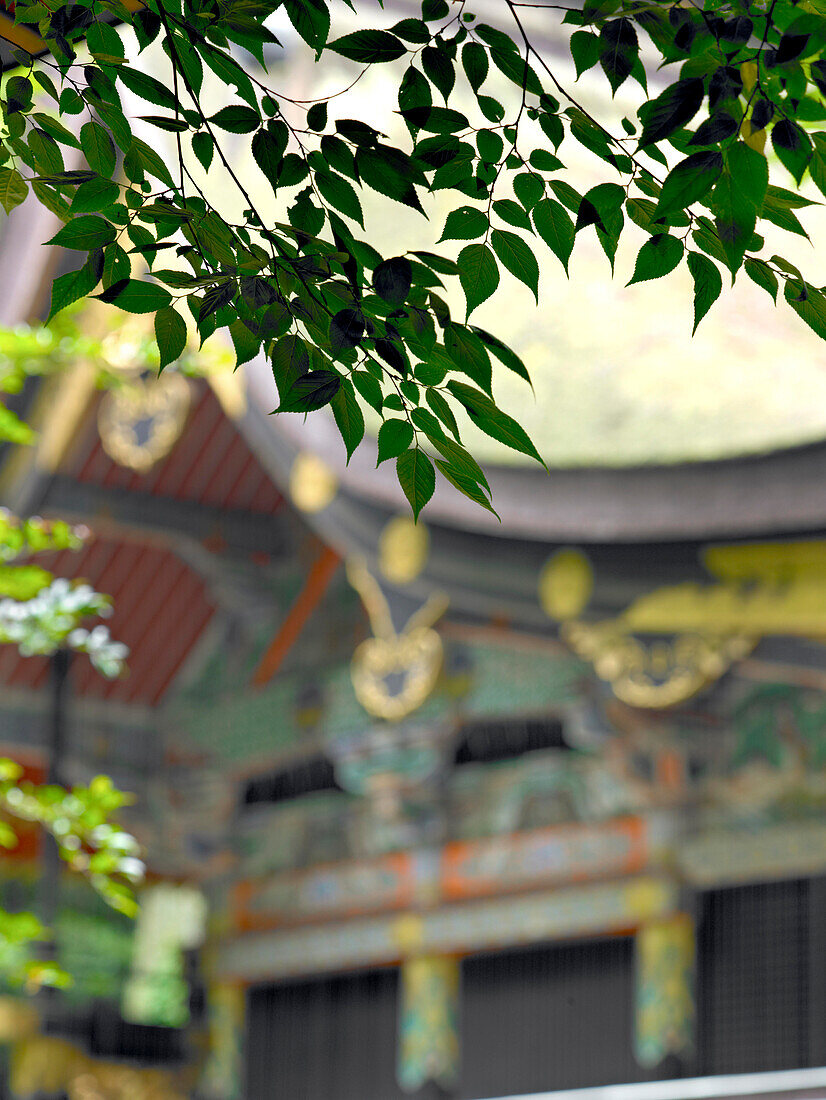 Kashima Jingu Main Shinto Shrine