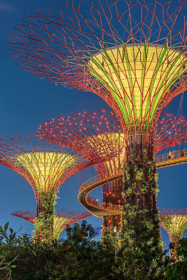 Supertrees, Gardens by the Bay, Singapore