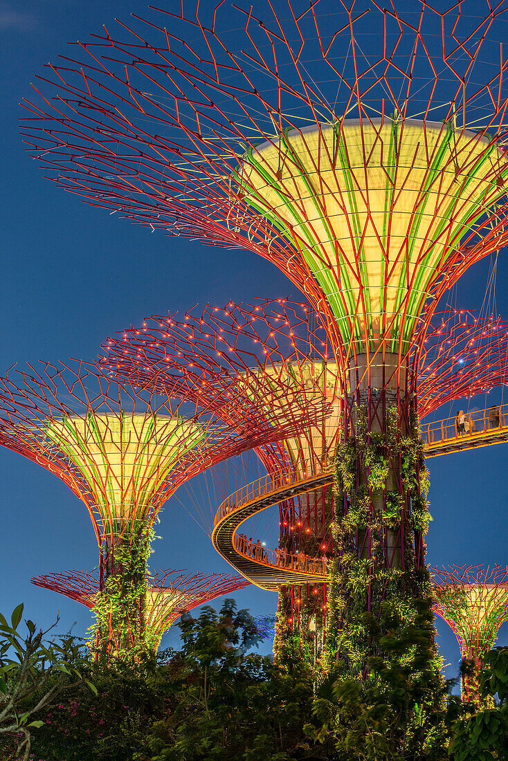 Supertrees, Gardens by the Bay, Singapur