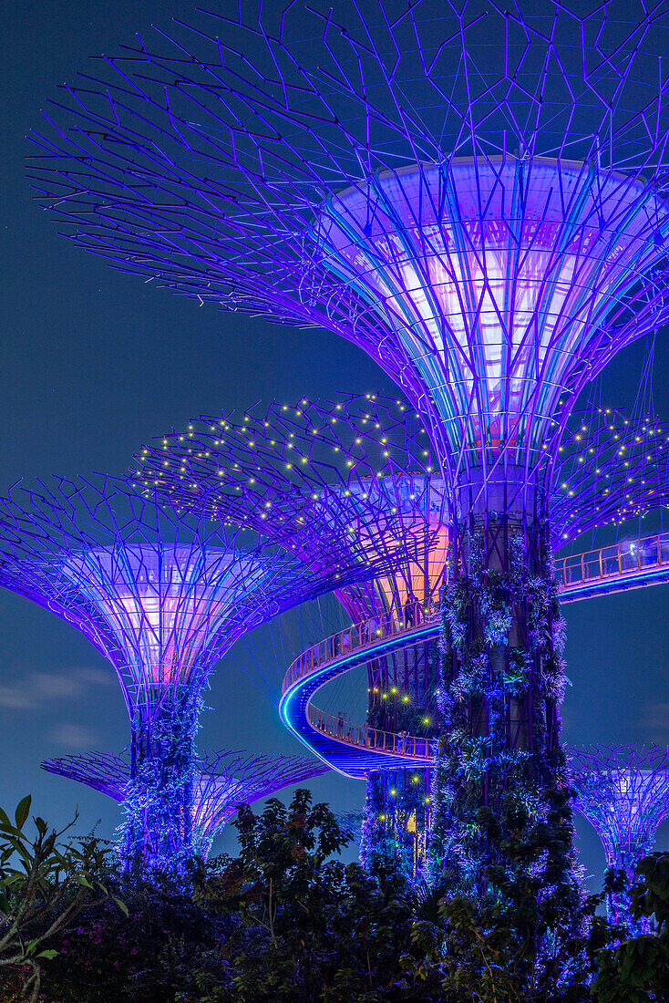 Supertrees, Gardens by the Bay, Singapore