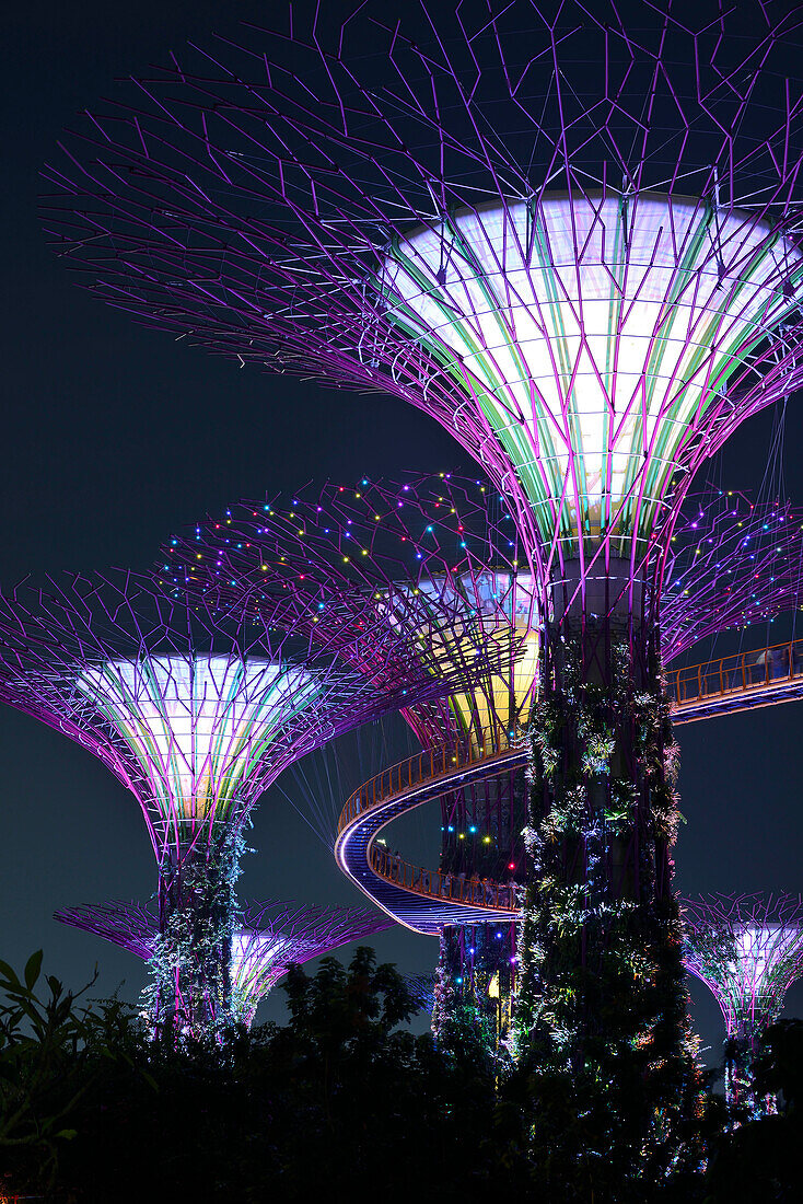 Supertrees, Gardens by the Bay, Singapur
