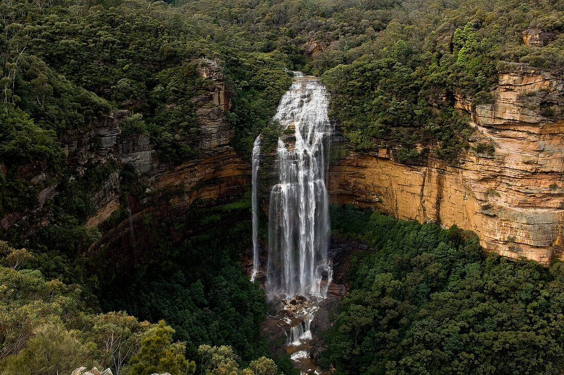 Wentworth Falls, Blue Mountains, NSW, Australien