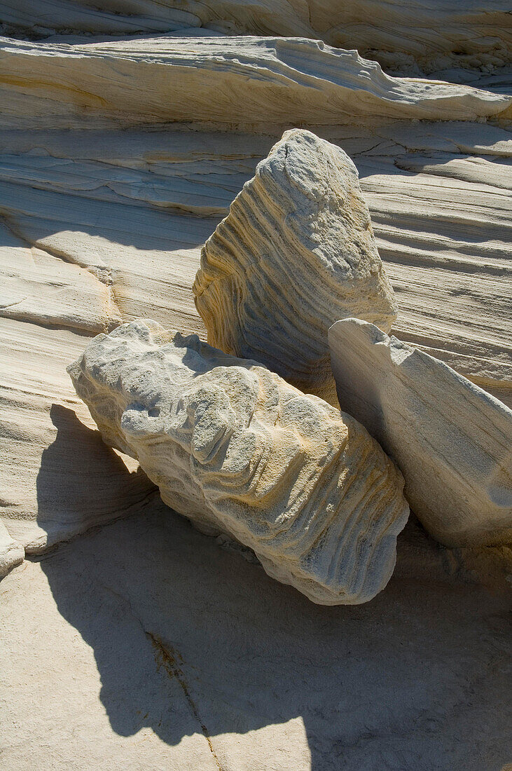 Sandstone rocks, Royal National Park, Sydney,NSW,Australia