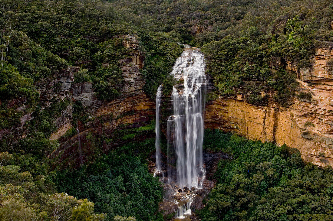 Wentworth Falls, Blue Mountains, NSW, Australien