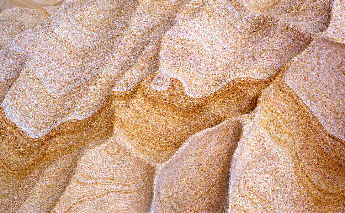 Royal National Park sandstone patterns, NSW, Australia