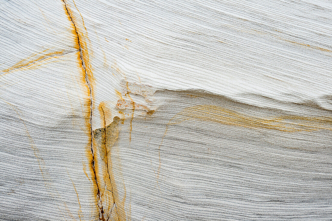 Royal National Park sandstone patterns, NSW, Australia